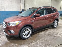 Ford Escape se salvage cars for sale: 2018 Ford Escape SE