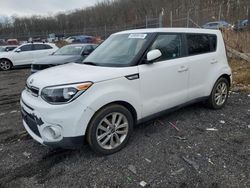 Salvage cars for sale at Baltimore, MD auction: 2018 KIA Soul +