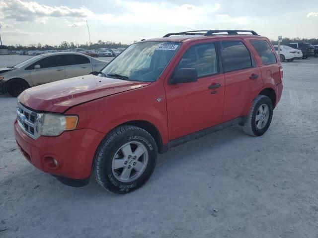 2009 Ford Escape XLT