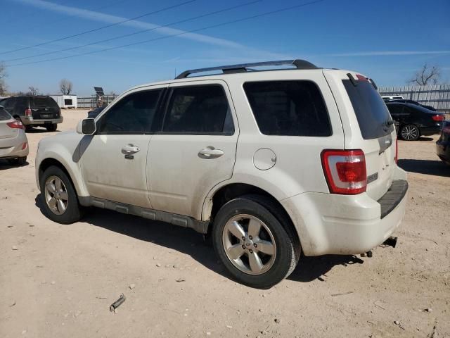 2012 Ford Escape Limited