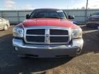 2005 Dodge Dakota Quad SLT