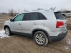 2011 KIA Sorento EX