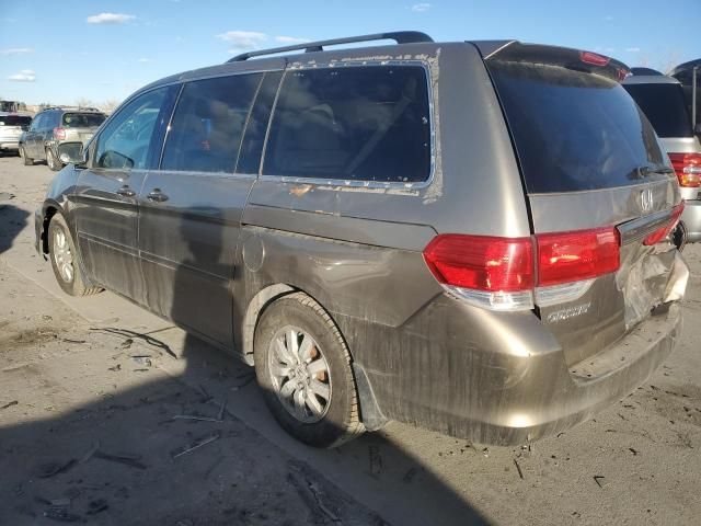 2008 Honda Odyssey EXL