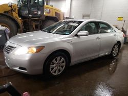 Salvage cars for sale at New Britain, CT auction: 2008 Toyota Camry Hybrid