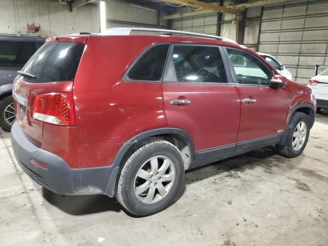 2011 KIA Sorento Base