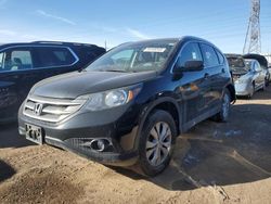 Salvage cars for sale at Elgin, IL auction: 2014 Honda CR-V EXL