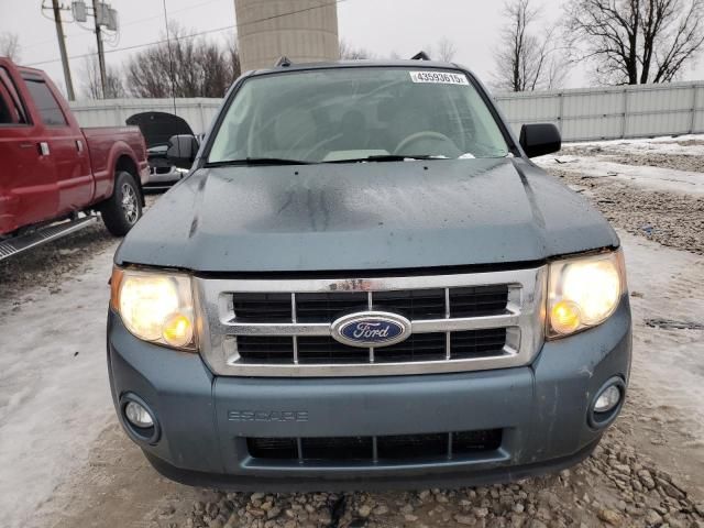 2010 Ford Escape XLT