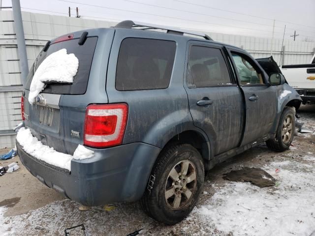 2010 Ford Escape Limited