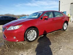 Salvage cars for sale at Memphis, TN auction: 2014 Lexus ES 350