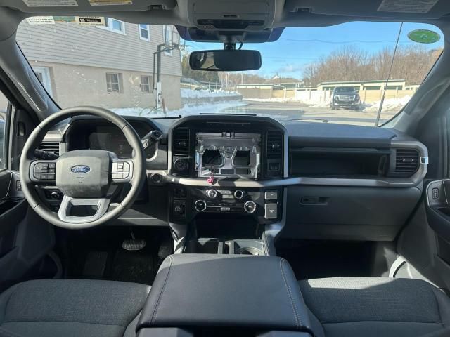 2024 Ford F150 XLT