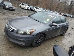 Honda Vehiculos salvage en venta: 2011 Honda Accord LX