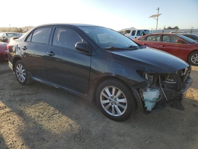 2010 Toyota Corolla Base