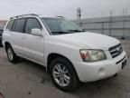 2006 Toyota Highlander Hybrid