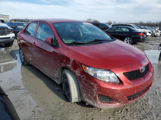 2010 Toyota Corolla Base