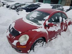 Volkswagen salvage cars for sale: 2006 Volkswagen New Beetle 2.5L