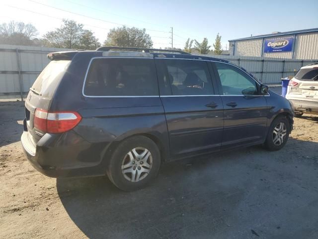 2005 Honda Odyssey EXL