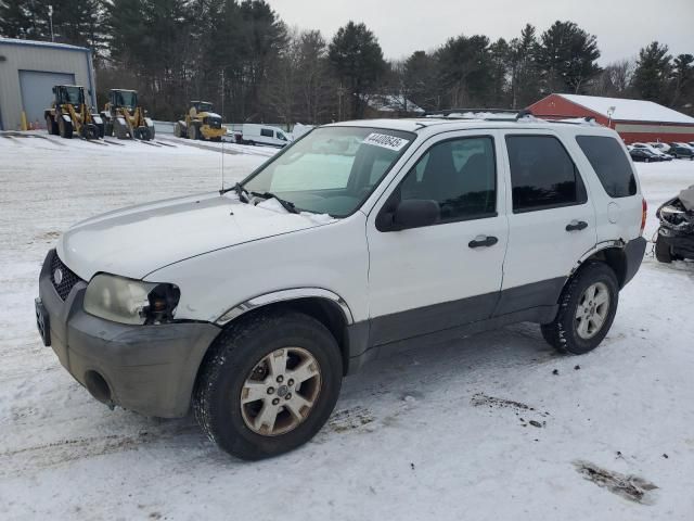 2005 Ford Escape XLT