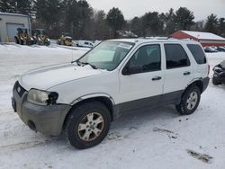 Salvage cars for sale at Mendon, MA auction: 2005 Ford Escape XLT