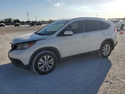 Salvage cars for sale at Arcadia, FL auction: 2014 Honda CR-V EXL