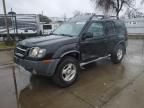 2002 Nissan Xterra XE