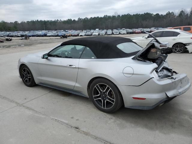 2019 Ford Mustang