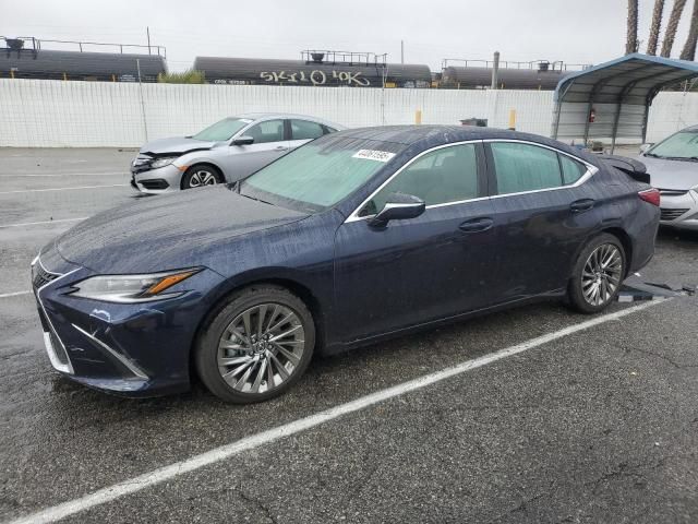 2024 Lexus ES 300H Base