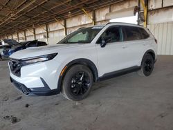 Salvage cars for sale at Phoenix, AZ auction: 2023 Honda CR-V Sport