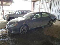 Vehiculos salvage en venta de Copart American Canyon, CA: 2012 Lexus ES 350