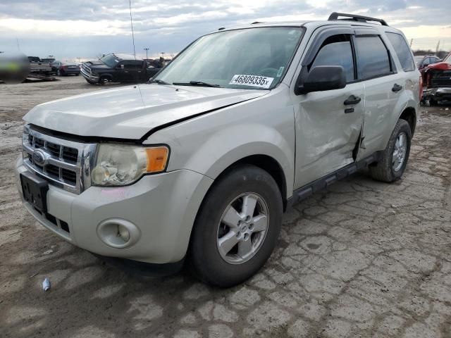 2009 Ford Escape XLT