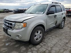 Salvage cars for sale at Indianapolis, IN auction: 2009 Ford Escape XLT