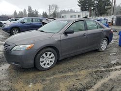 Hybrid Vehicles for sale at auction: 2008 Toyota Camry Hybrid