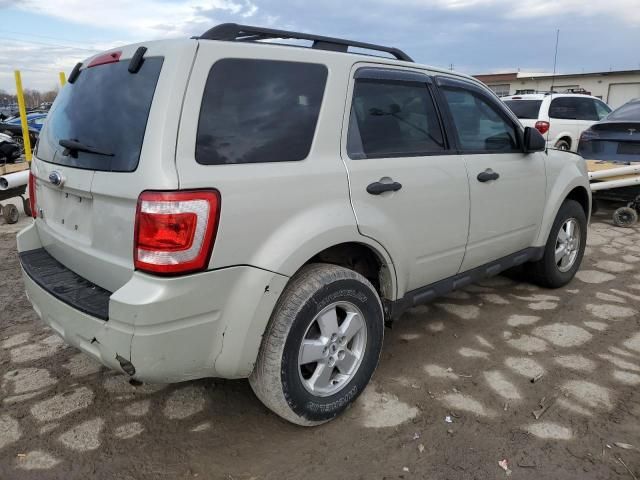 2009 Ford Escape XLT