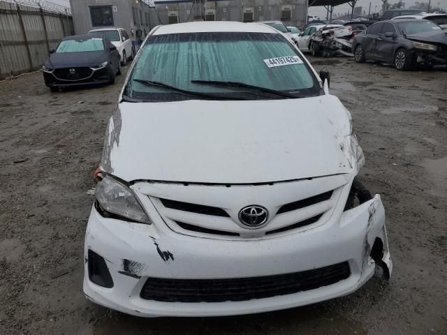 2011 Toyota Corolla Base