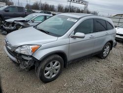 SUV salvage a la venta en subasta: 2009 Honda CR-V EXL