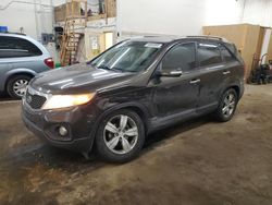 Salvage cars for sale at Ham Lake, MN auction: 2012 KIA Sorento EX