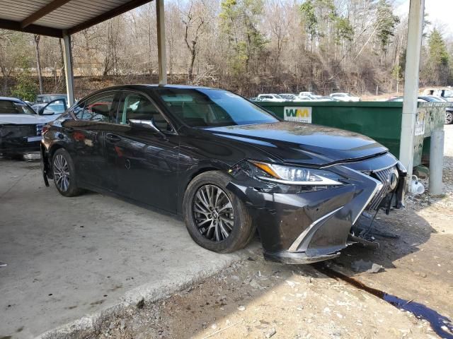 2019 Lexus ES 350