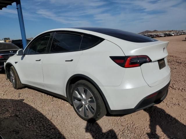 2020 Tesla Model Y