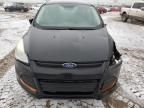 2013 Ford Escape S