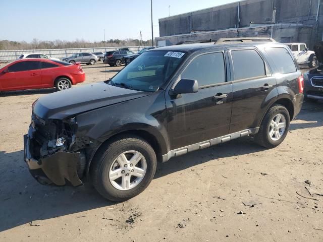 2010 Ford Escape Hybrid