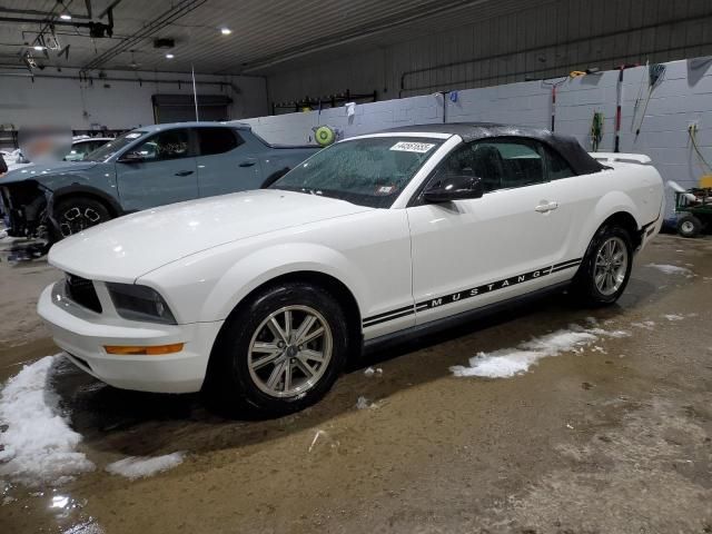 2005 Ford Mustang