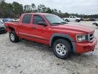 2008 Dodge Dakota TRX