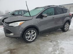 Salvage cars for sale at Wayland, MI auction: 2013 Ford Escape SEL