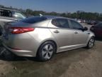 2013 KIA Optima Hybrid