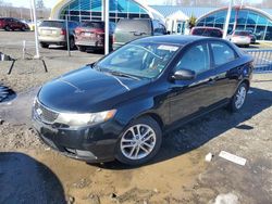 Salvage cars for sale at East Granby, CT auction: 2011 KIA Forte EX