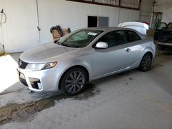 Salvage cars for sale at Lexington, KY auction: 2011 KIA Forte SX