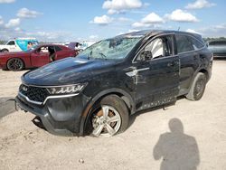 Salvage cars for sale at auction: 2023 KIA Sorento LX