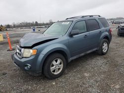 Ford Vehiculos salvage en venta: 2012 Ford Escape XLT