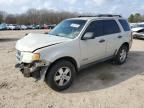 2008 Ford Escape XLS