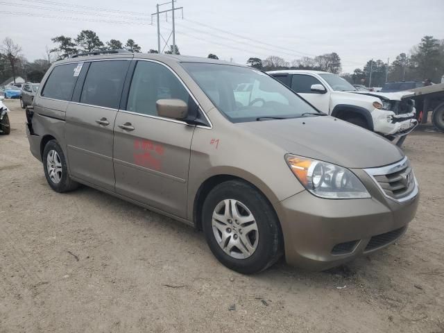 2008 Honda Odyssey EXL