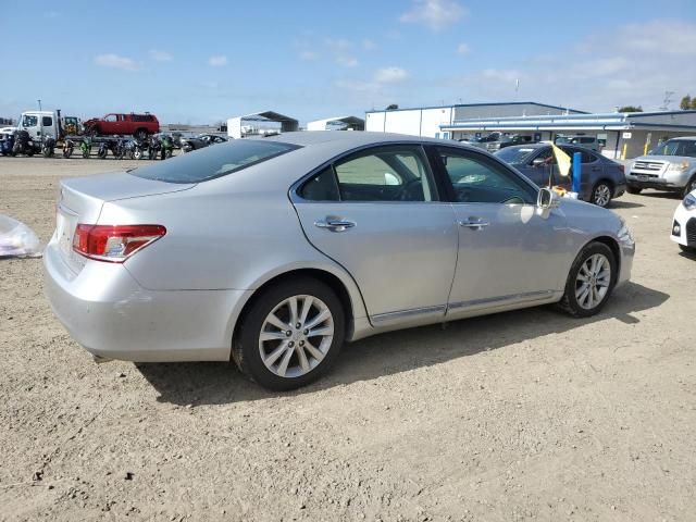 2010 Lexus ES 350